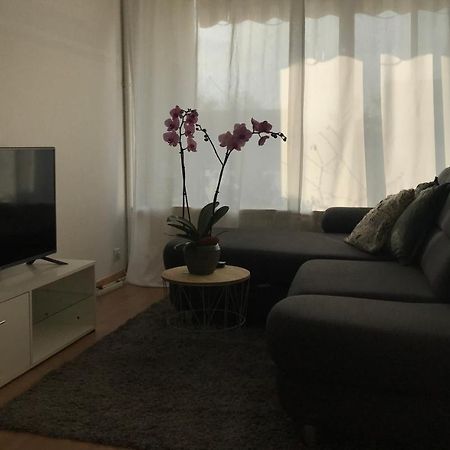 Bel Appartement near Bâle Mulhouse Airport Saint-Louis  Extérieur photo