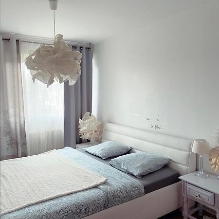 Bel Appartement near Bâle Mulhouse Airport Saint-Louis  Extérieur photo