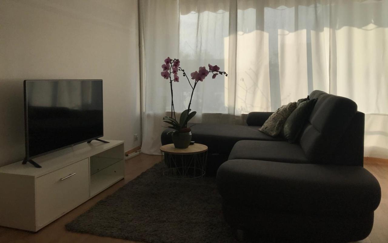 Bel Appartement near Bâle Mulhouse Airport Saint-Louis  Extérieur photo