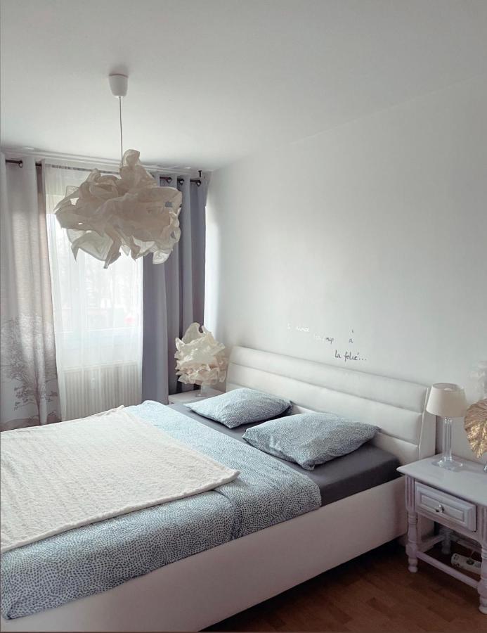 Bel Appartement near Bâle Mulhouse Airport Saint-Louis  Extérieur photo