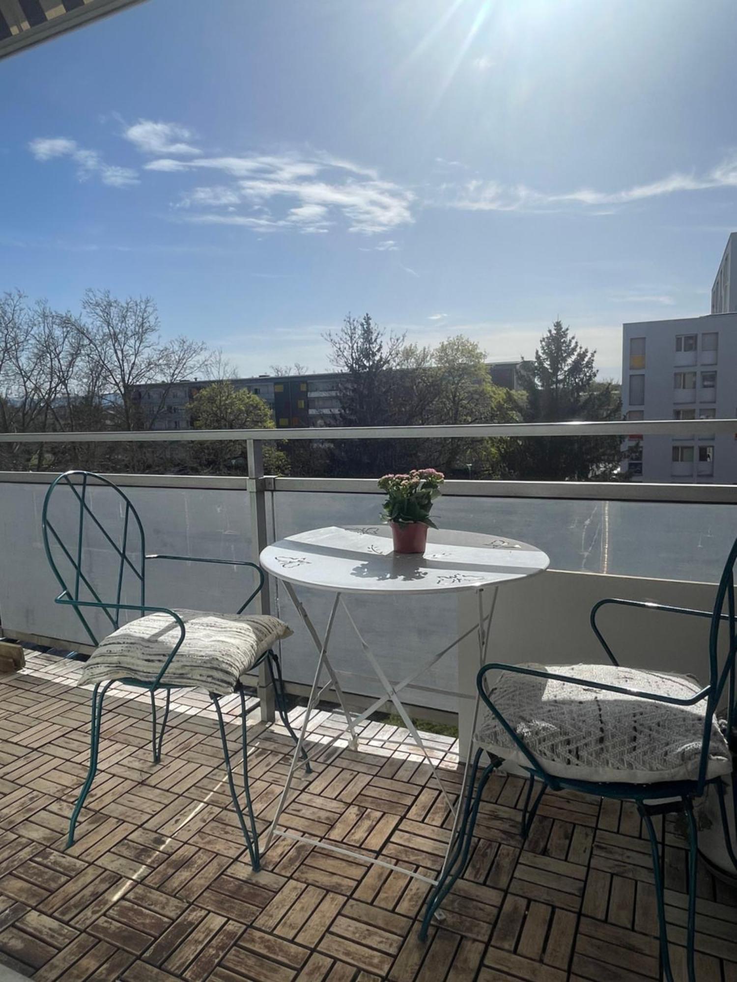 Bel Appartement near Bâle Mulhouse Airport Saint-Louis  Extérieur photo