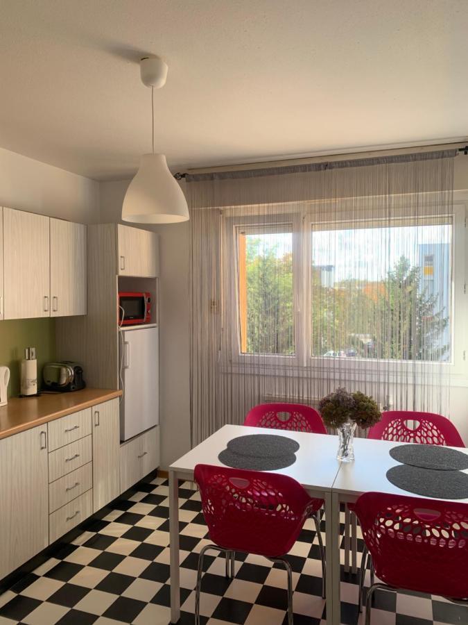 Bel Appartement near Bâle Mulhouse Airport Saint-Louis  Extérieur photo